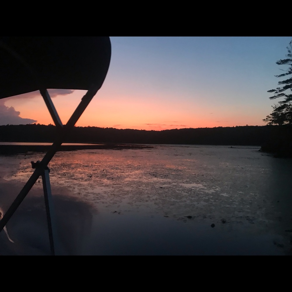 Meet your Posher, Renee